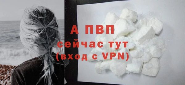 крисы Зерноград