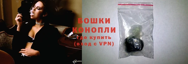 спиды Ладушкин