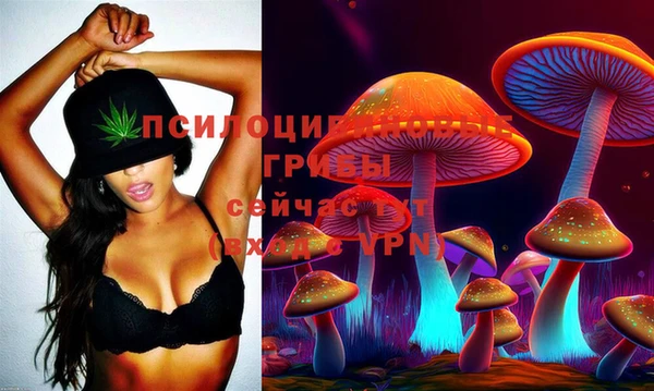 mdpv Лабытнанги