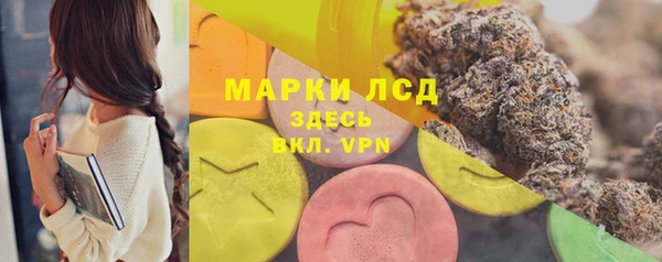 спиды Ладушкин