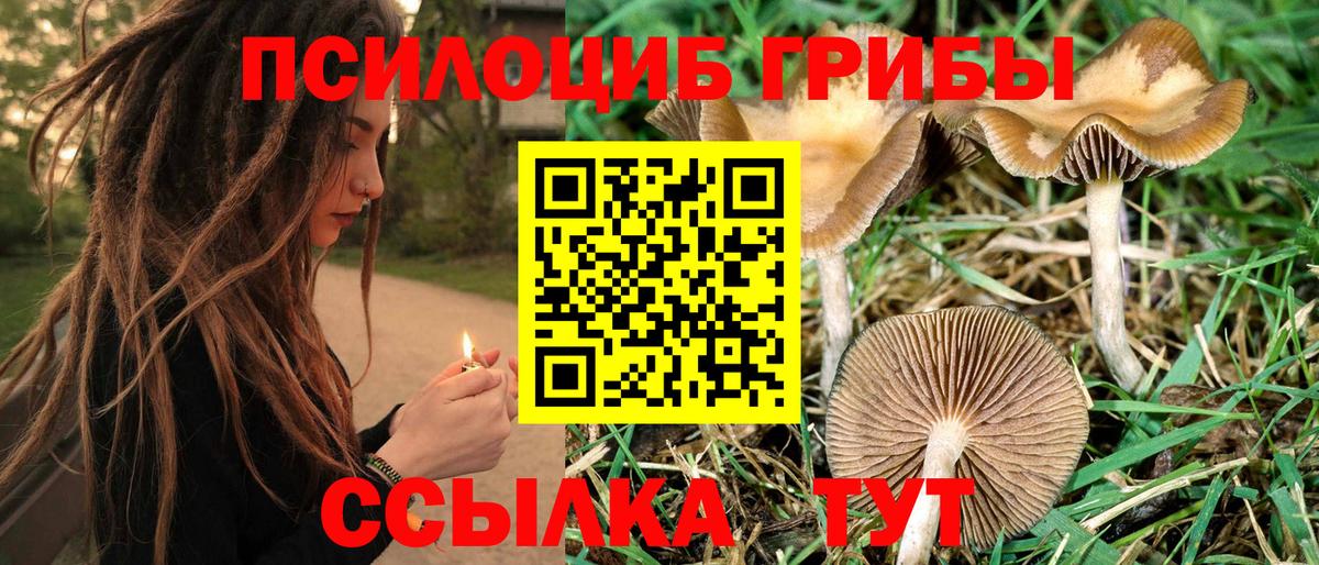 Мяу-Мяу  Каннабис  Мефедрон  Cocaine  Елабуга  Вход с VPN  Плюхи 
