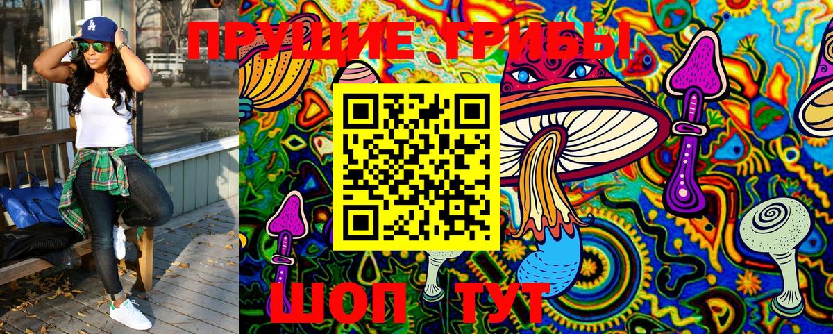 Псилоцибиновые грибы Psilocybine cubensis Елабуга