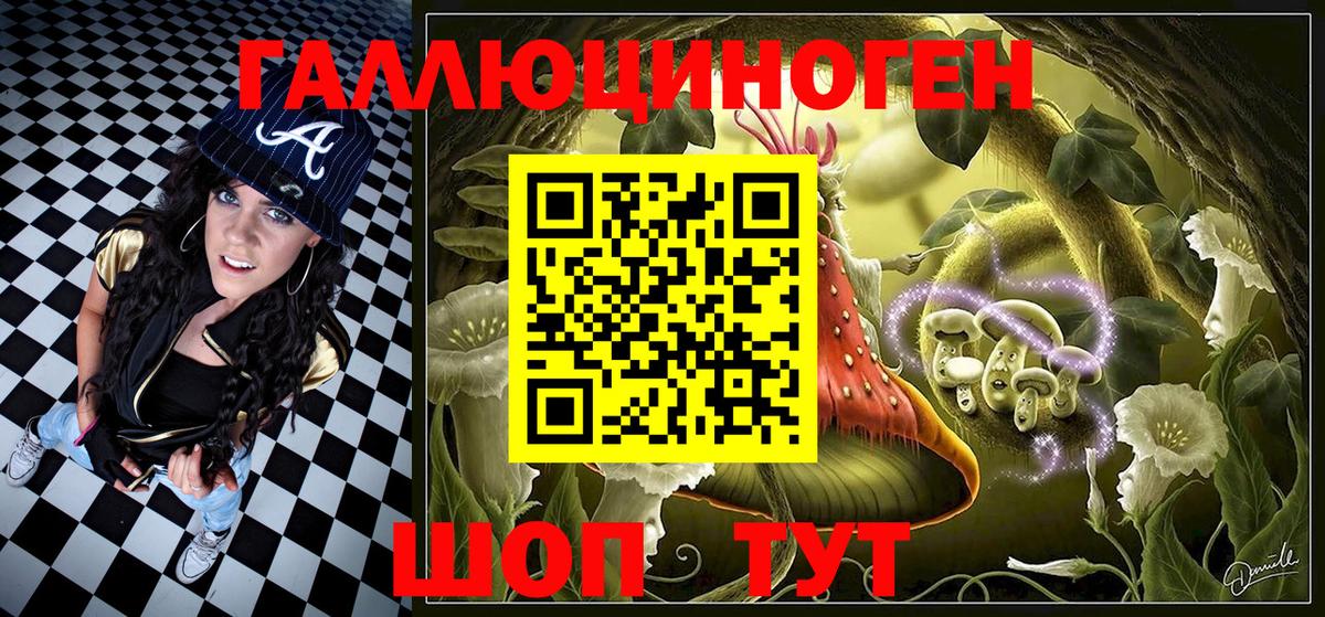 Галлюциногенные грибы Psilocybe Елабуга