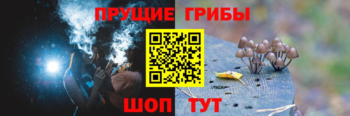 Елабуга  Галлюциногенные грибы ЛСД  магазин    Вход с VPN 